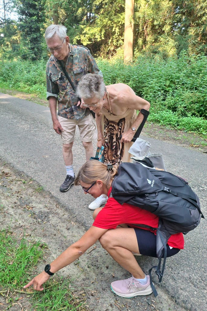 Marie fait une découverte minuscule dans l'herbe, et cela semble les amuser