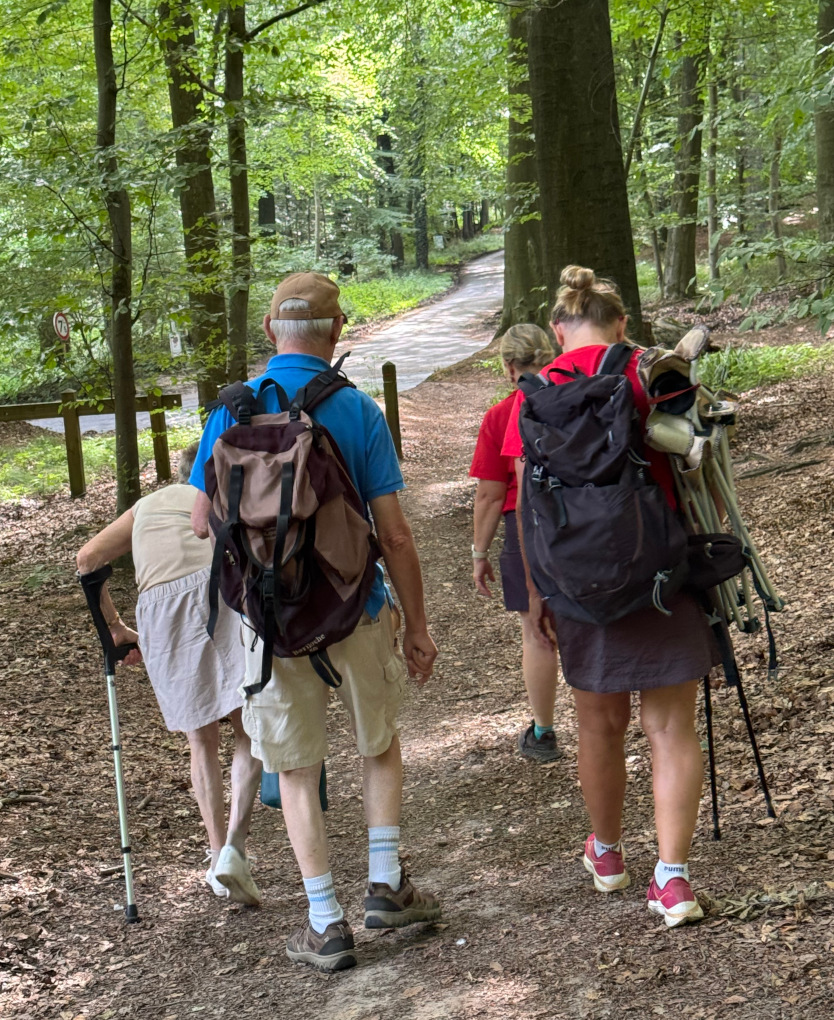 Le sentier en pente douce dans la hêtraie n'est pas trop difficile