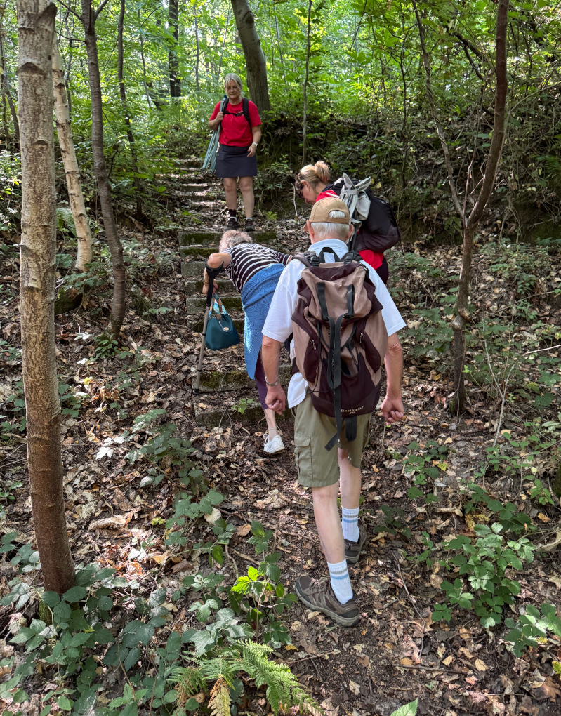 Dans le chemin bien pentu des marches aménagées facilitent la progression