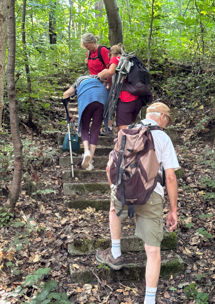 Marie et Judith soutienne et encouragent Aude dans cet escalier au milieu des bois
