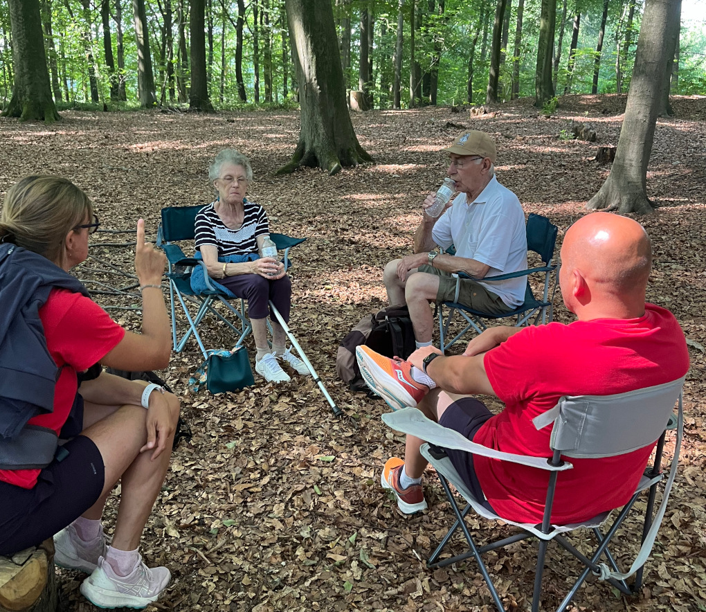 Repos bien mérité, assis confortablement à l'ombre de la hêtraie