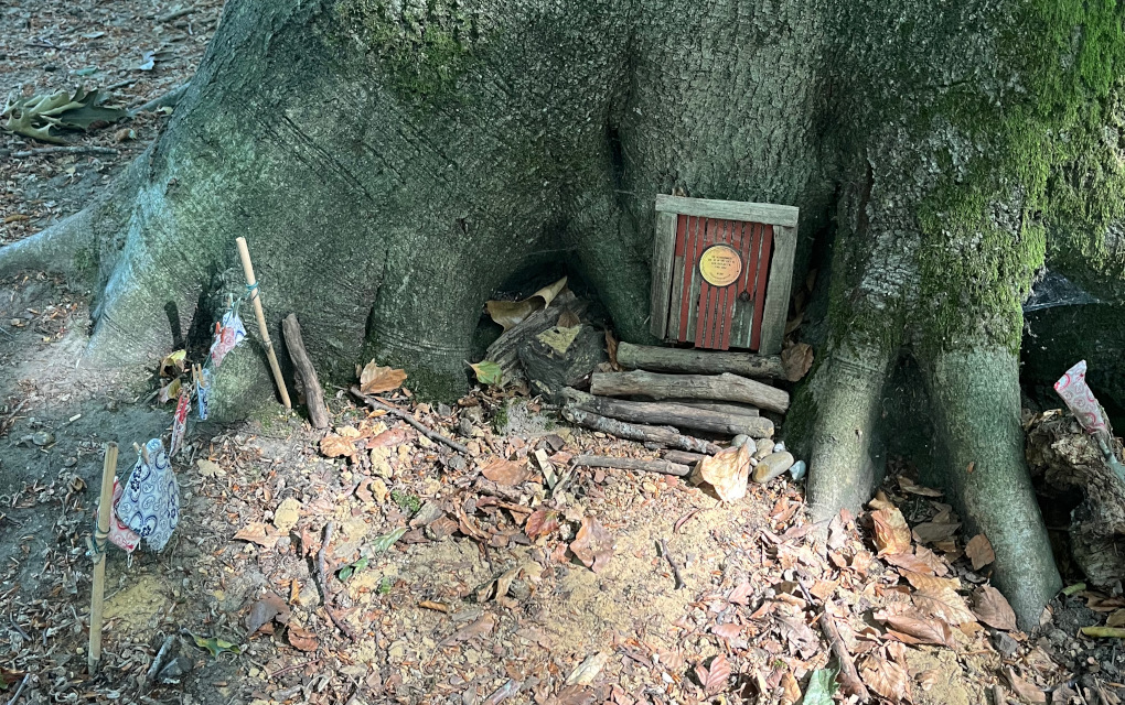 Un arbre à dévotions ou cabane de lutins ?