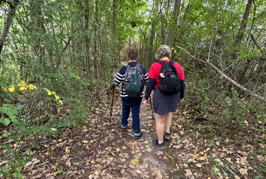 La marche dans les bois permet de se ressourcer, de prendre confiance, de respirer le bon air
