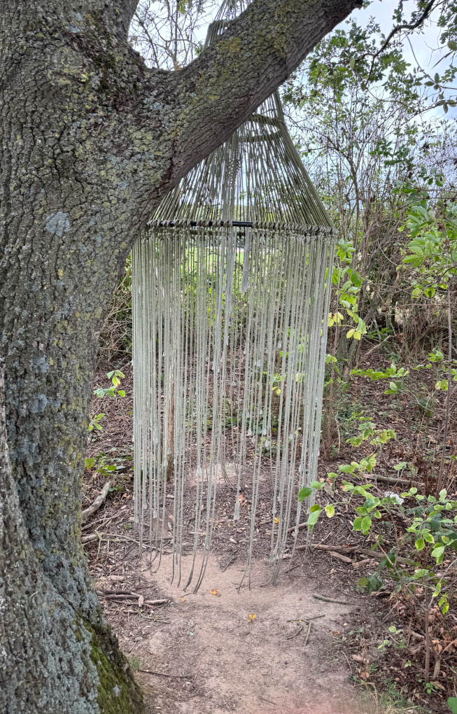 Le Macramé des Tourtereaux, suspendu à un arbre: quelle est son origine ?