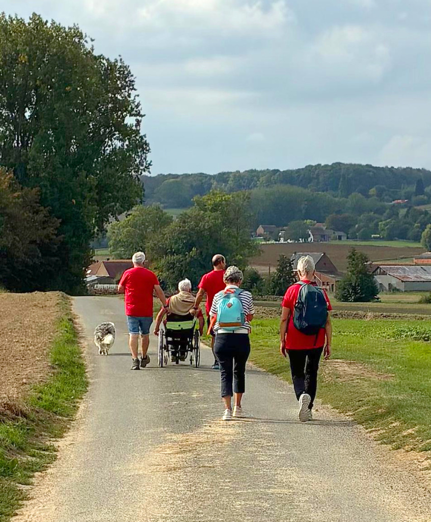 Un groupe de personnes, vues de dos, se déplace sur un chemin au milieu de champ avec une personne en fauteuil roulant avec un chien. Le ciel est bleu parsemé de nuages