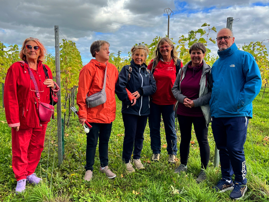 Un groupe de 6 personnes posent pour la photo devant des vignes